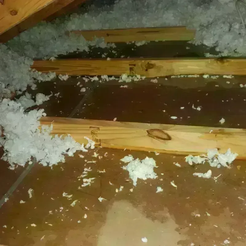 Attic Water Damage in Briar, TX